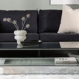Maglehem – Table basse – Transparent, Argenté – 130 x 60 cm