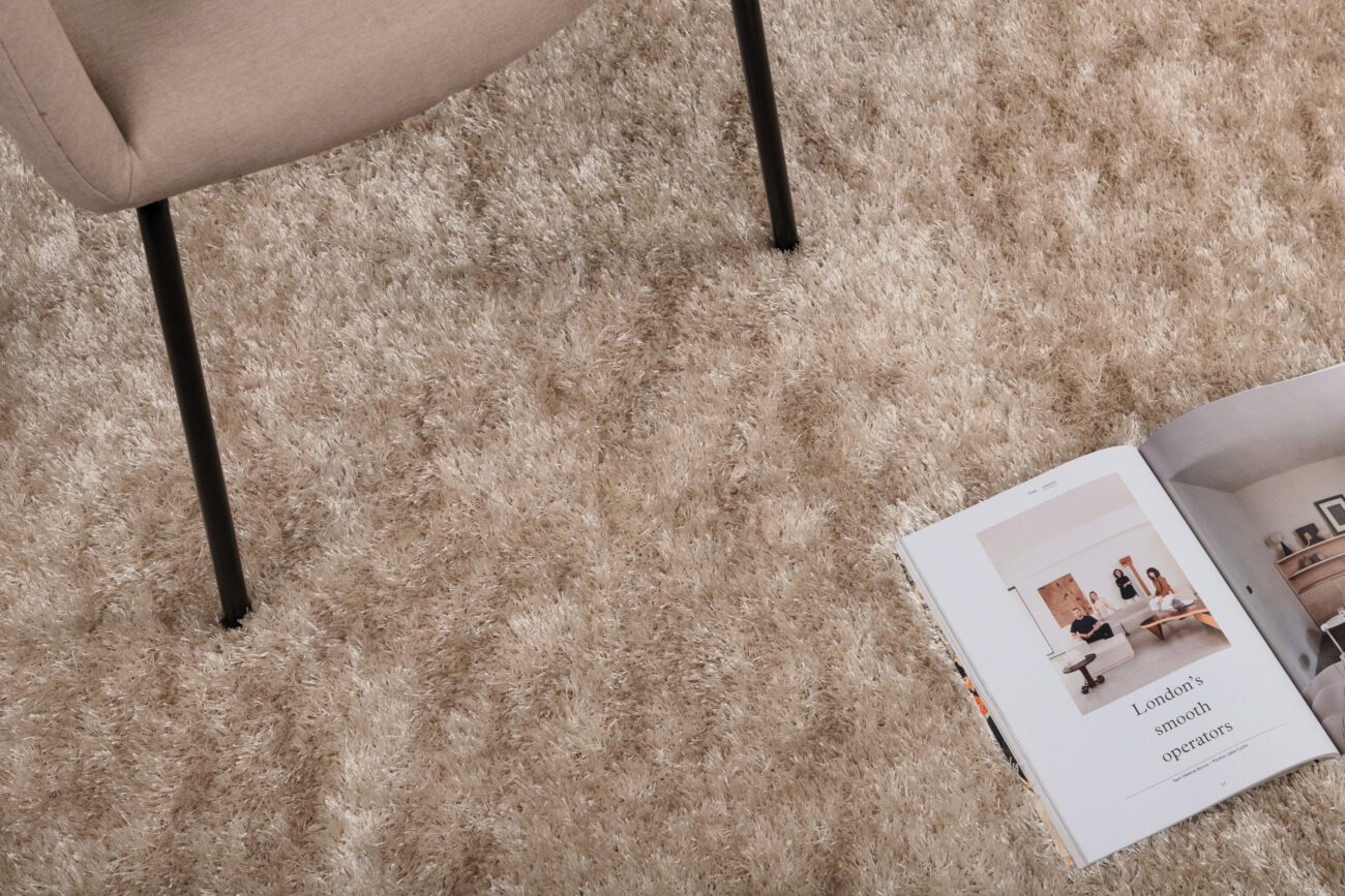 Mattis – Tapis de salon – Beige – 290 x 200 cm
