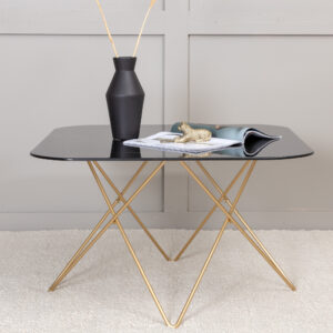 Tristar – Table basse – Noir, Doré – 80 x 80 cm