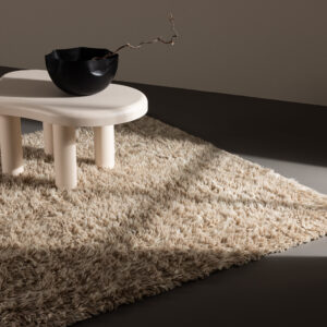 Leiko – Tapis de salon – Beige – 300 x 200 cm