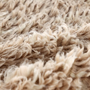 Leiko – Tapis de salon – Beige – 300 x 200 cm