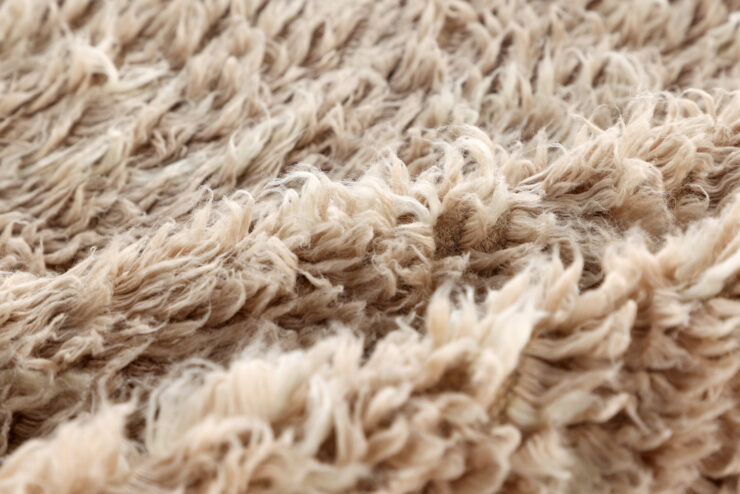 Leiko – Tapis de salon – Beige – 300 x 200 cm