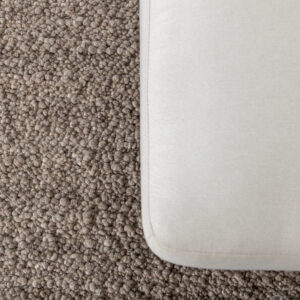 Betina – Tapis de salon – Marron – 300 x 200 cm