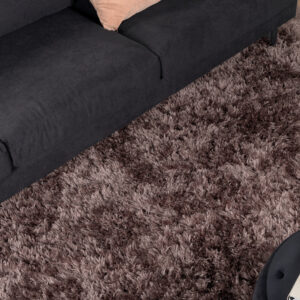 Grace – Tapis de salon – Marron – 300 x 200 cm