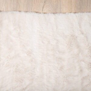 Nina – Tapis de salon – Blanc – 300 x 200 cm