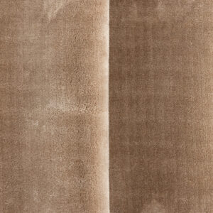 Blanca – Tapis de salon – Beige – 290 x 200 cm