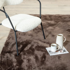 Blanca – Tapis de salon – Marron – 300 x 200 cm
