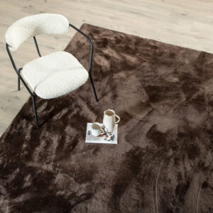 Blanca – Tapis de salon – Marron – 300 x 200 cm