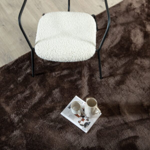 Blanca – Tapis de salon – Marron – 300 x 200 cm