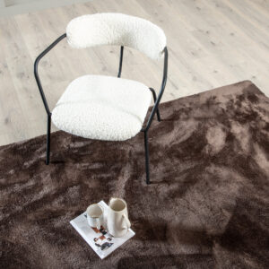 Blanca – Tapis de salon – Marron – 300 x 200 cm