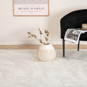 Blanca – Tapis de salon – Blanc – 300 x 200 cm