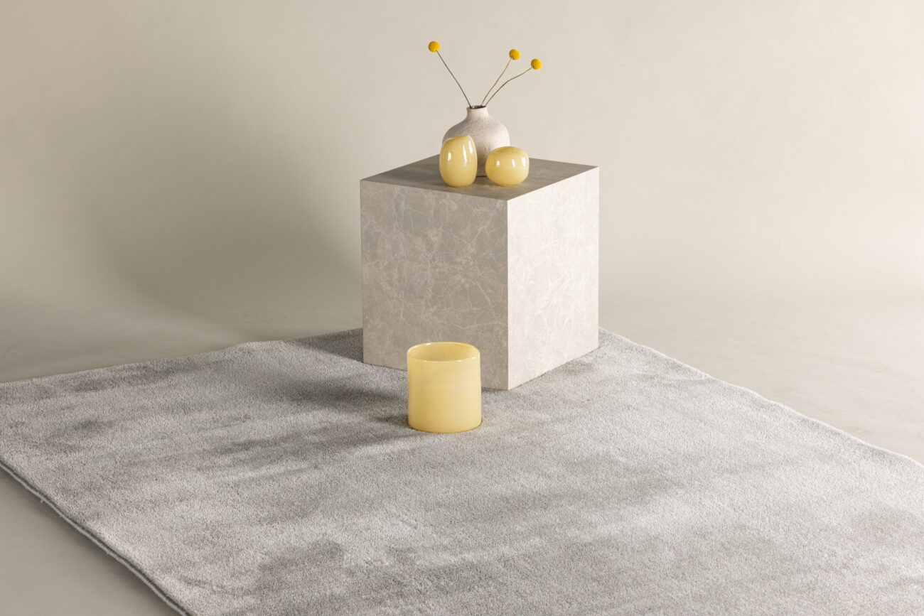Blanca – Tapis de salon – Gris clair – 230 x 160 cm
