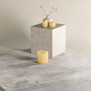 Blanca – Tapis de salon – Gris clair – 230 x 160 cm