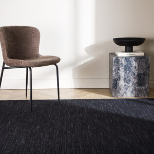 Elton – Tapis de salon – Noir – 350 x 250 cm