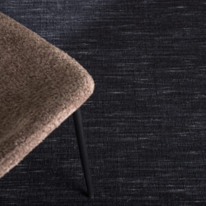 Elton – Tapis de salon – Noir – 350 x 250 cm