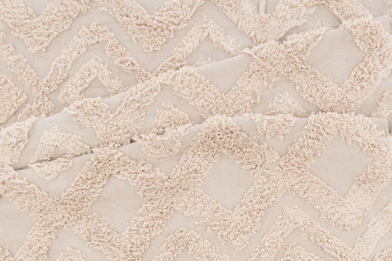 Hilma – Tapis de salon – Naturel, Beige – 300 x 200 cm