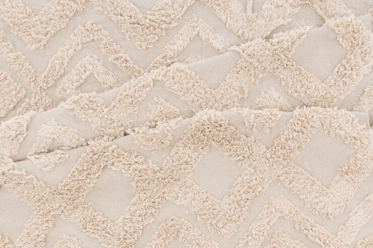 Hilma – Tapis de salon – Naturel, Beige – 300 x 200 cm