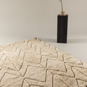 Zoe – Tapis de salon – Beige – 300 x 200 cm