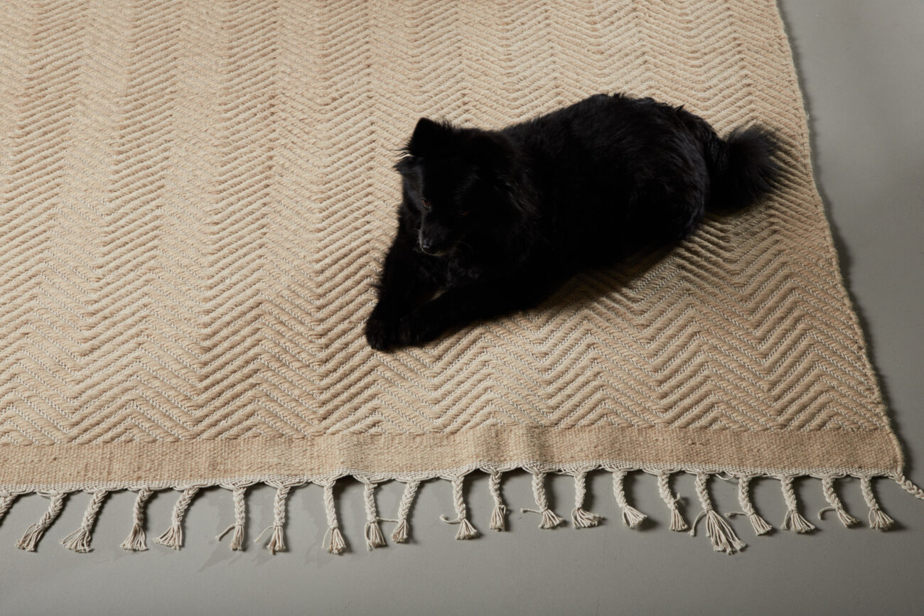 Loke – Tapis de salon – Beige, Blanc – 230 x 160 cm