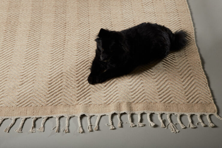 Loke – Tapis de salon – Beige, Blanc – 350 x 250 cm