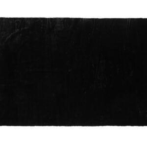Nina – Tapis de salon – Noir – 300 x 200 cm