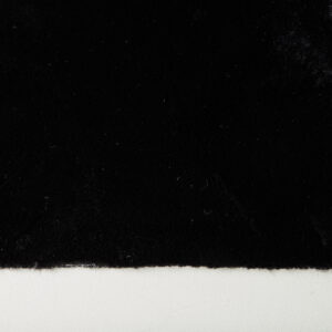 Nina – Tapis de salon – Noir – 230 x 160 cm