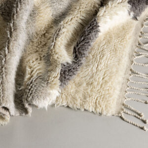 Charlie – Tapis de salon – Ivoire, Multicolore – 400 x 300 cm