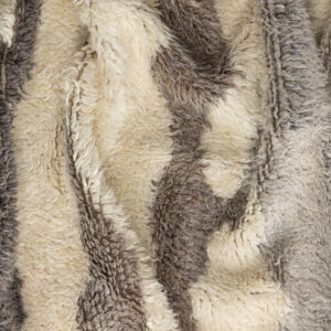 Charlie – Tapis de salon – Ivoire, Multicolore – 230 x 160 cm