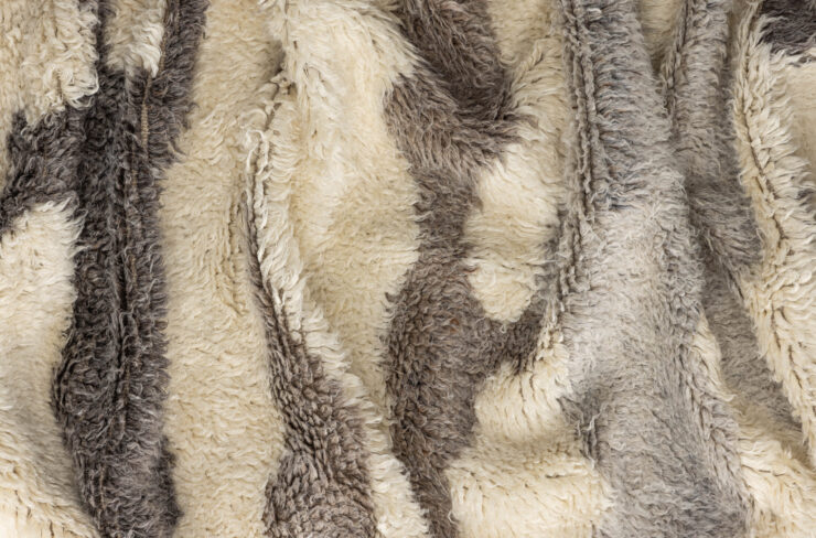 Charlie – Tapis de salon – Ivoire, Multicolore – 230 x 160 cm