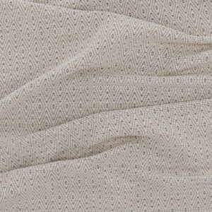 Julana – Tapis de salon – Beige – 300 x 200 cm