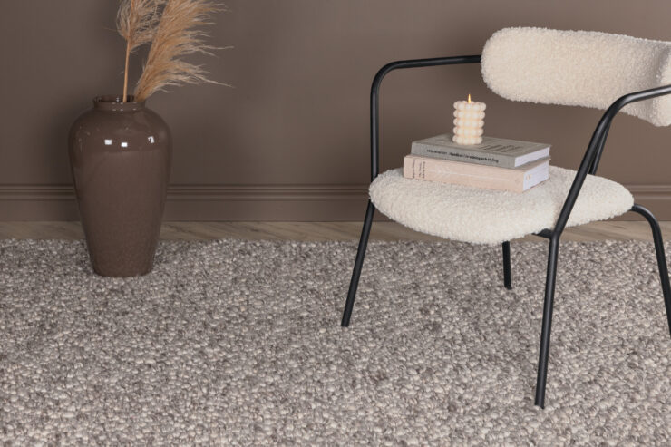 Jajru – Tapis de salon – Gris clair – 300 x 200 cm