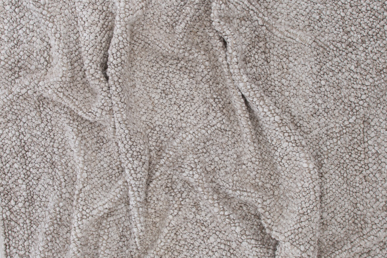 Jajru – Tapis de salon – Beige – 350 x 250 cm