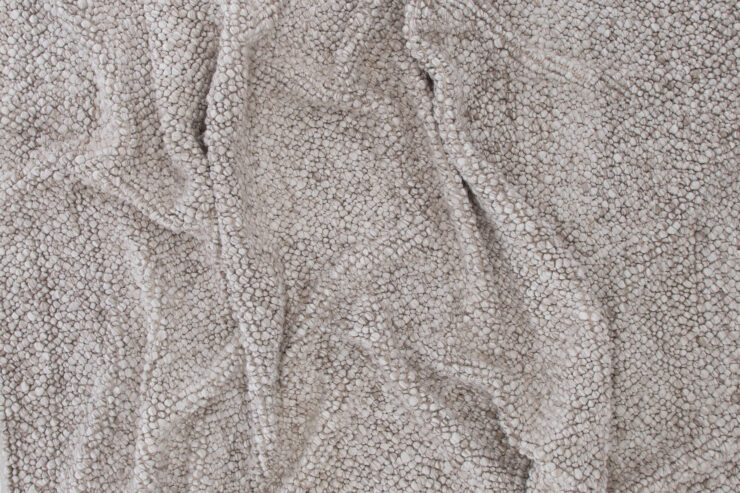 Jajru – Tapis de salon – Beige – 350 x 250 cm