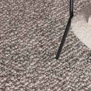 Jajru – Tapis de salon – Gris clair – 350 x 250 cm