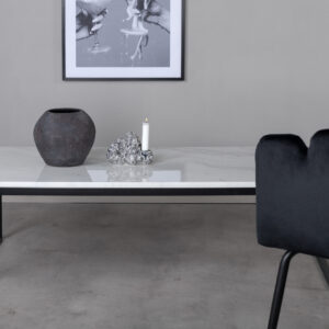 Estelle – Table basse – Noir, Blanc – 120 x 60 cm