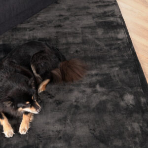 Indra – Tapis de salon – Gris foncé – 300 x 200 cm