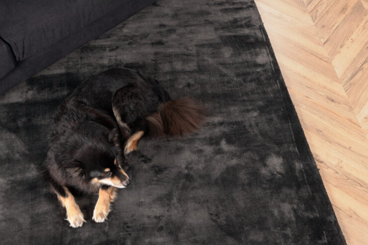 Indra – Tapis de salon – Gris foncé – 350 x 250 cm