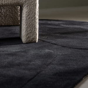 Enard – Tapis de salon – Noir – 290 x 175 cm