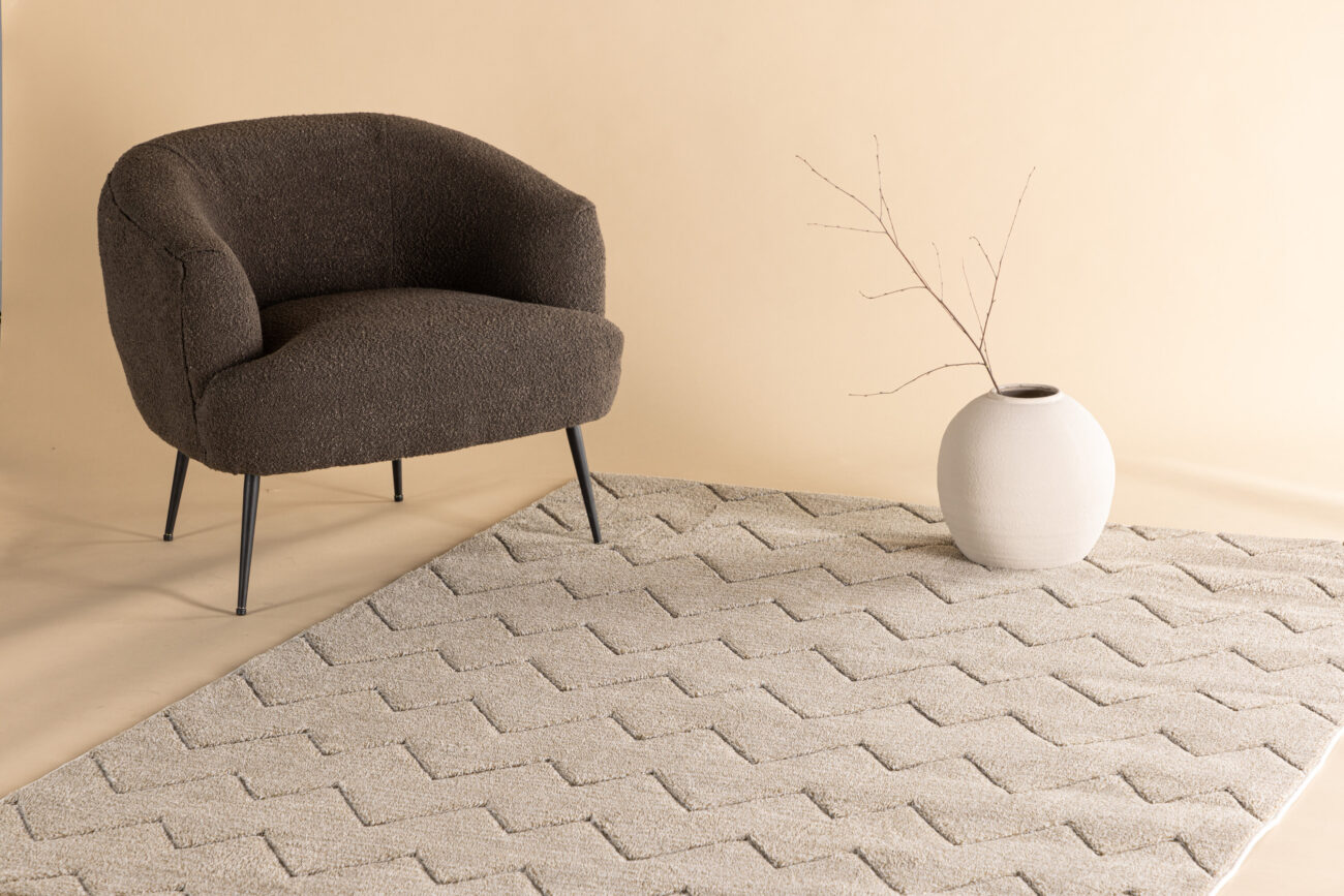 Fia – Tapis de salon – Marron – 290 x 200 cm