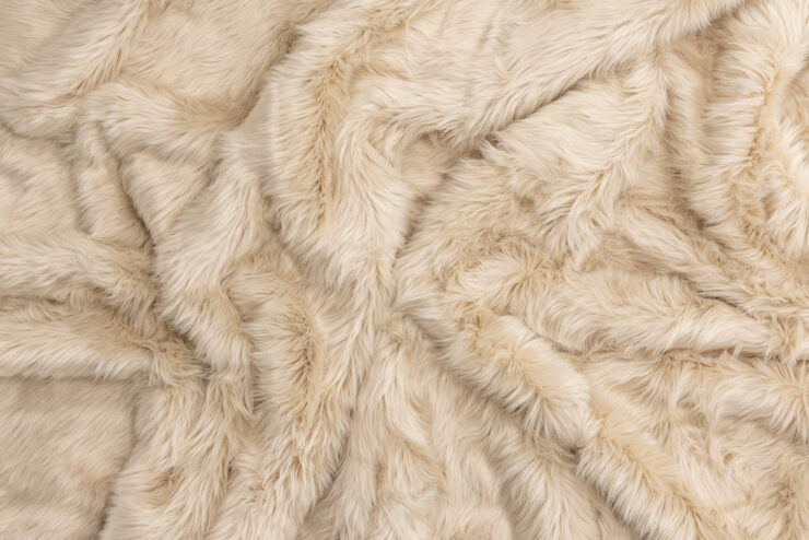 Katy – Tapis de salon – Beige – 230 x 160 cm