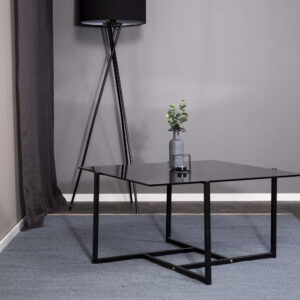 Hybrid – Table basse – Noir, Gris – 80 x 80 cm