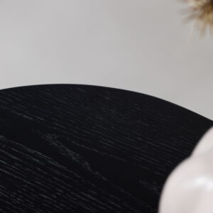 Fjällbacka – Meuble TV – Noir – 48 x 45 x 160 cm