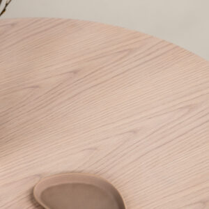 Saltö – Table basse – Blanchi – ⌀65 cm