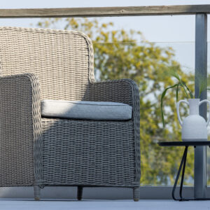 Wembley – Chaise de salle à manger – Gris – 66 x 94 x 62 cm