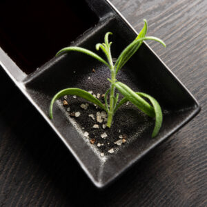 Wabi Sabi – Arts de la table – Noir – 15 x 8 cm