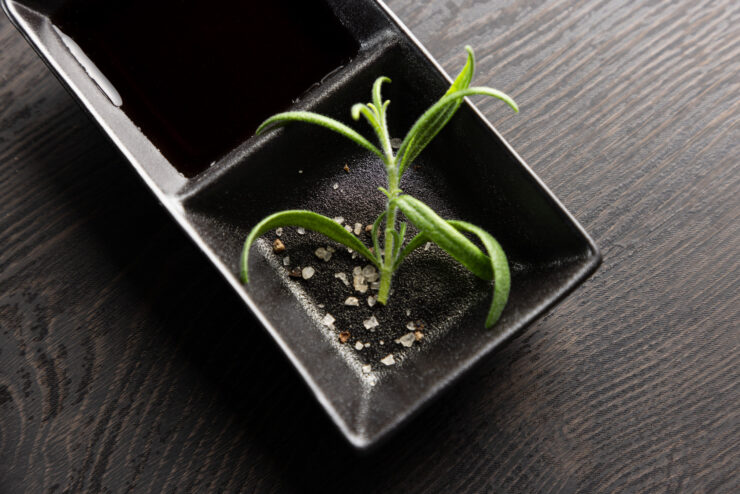 Wabi Sabi – Arts de la table – Noir – 15 x 8 cm