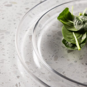 Shine – Arts de la table – Transparent – ⌀21 cm