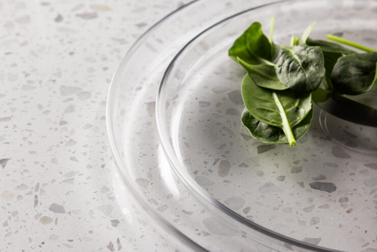 Shine – Arts de la table – Transparent – ⌀21 cm