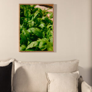 Gree leaf – Décoration murale – Vert – 40 x 30 cm