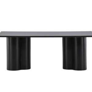 Olivia – Table basse – Noir – 120 x 60 cm